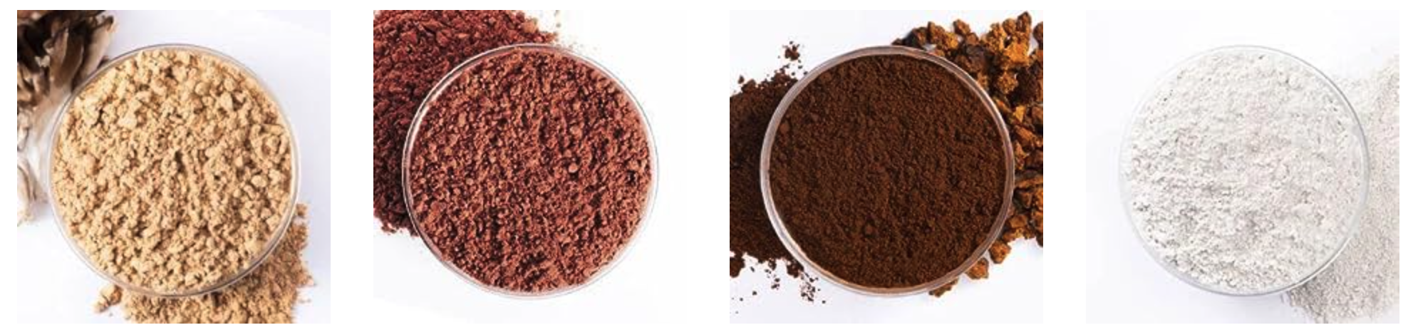 The 5 Best Mushroom Hot Chocolate Powders on Amazon